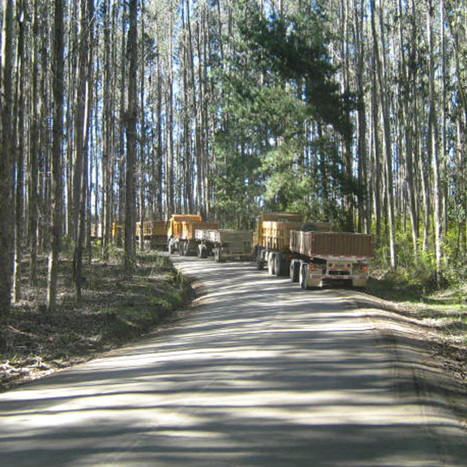 placeholder-thumbnail